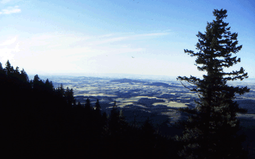 Northern Idaho view